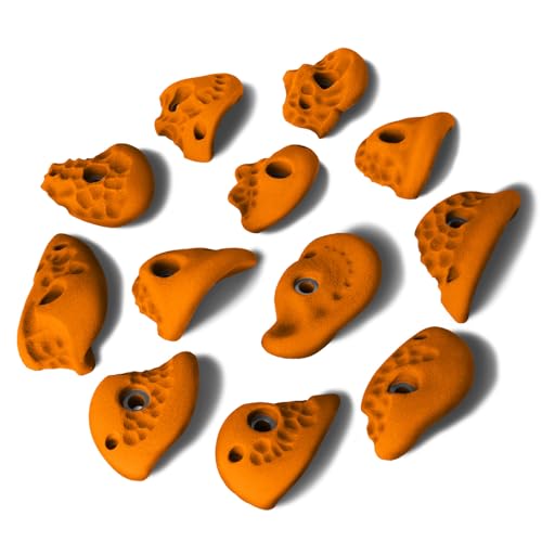ALPIDEX 12 Klettergriffe L | Henkelgriffe | Strukturierte Oberflächen | Größe L | Mitteltiefe Hinterschneidungen | Klettersteine | Verschiedene Ausformungen Farben - Farbe:Sporty Orange ALPIDEX 12 Klettergriffe L | Henkelgriffe | Strukturierte Oberflächen | Größe L | Mitteltiefe Hinterschneidungen | Klettersteine | Verschiedene Ausformungen Farben - Farbe:Sporty Orange von ALPIDEX