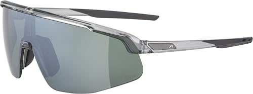 ALPINA TURBO PRO Q-LITE, Sportbrille für Erwachsene, grey-transparent gloss, One Size, 100% UV-A-, UV-B- und UV-C-Schutz ALPINA TURBO PRO Q-LITE, Sportbrille für Erwachsene, grey-transparent gloss, One Size, 100% UV-A-, UV-B- und UV-C-Schutz von ALPINA