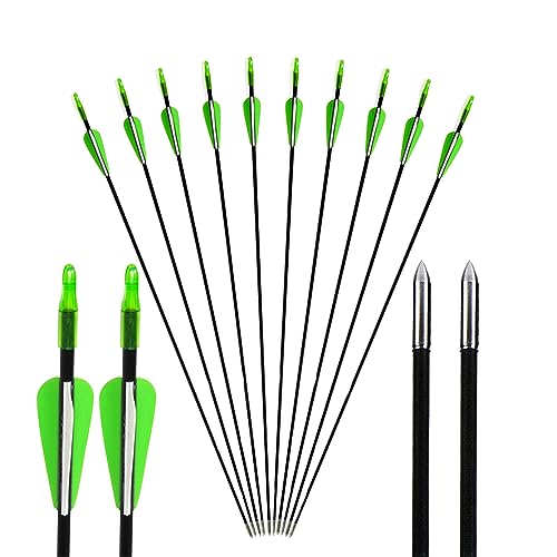 AMEYXGS 12/24 Stck 31" Zielübung Pfeile Pfeile für Bogenschießen Fiberglaspfeile Zielübungspfeile Sportbogen Bogenschiessen zum Langbogen Recurve Bogen Jagd und Schießen (12St, grün) von AMEYXGS