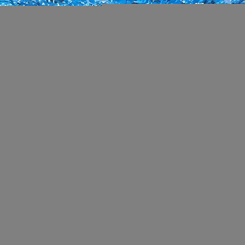 AMXFS 2023 verdickt Tarnnetz Sonnensegel Camouflage Net 1x10m - Marine Tarnung Sonnenschutznetze Partydekoration Tarnung Sonnenschutz Net Sichtschutz Autoplanen Woodland Armee von AMXFS