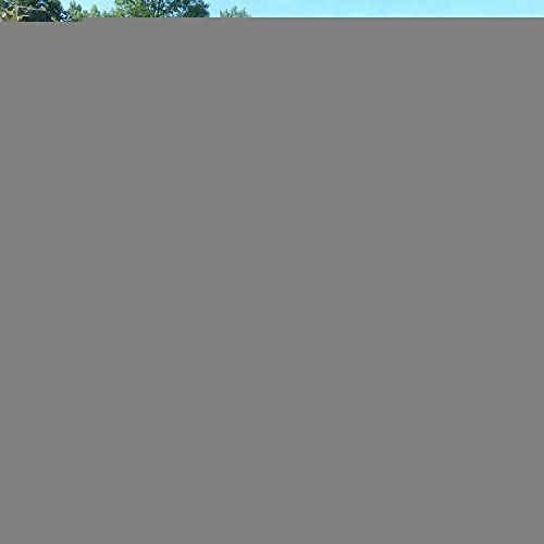 AMXFS Tarnnetz Sonnensegel Camouflage Net 4x4m - Grüne Tarnung Sonnenschutznetze Partydekoration Tarnung Sonnenschutz Net Sichtschutz Autoplanen Woodland Armee AMXFS Tarnnetz Sonnensegel Camouflage Net 4x4m - Grüne Tarnung Sonnenschutznetze Partydekoration Tarnung Sonnenschutz Net Sichtschutz Autoplanen Woodland Armee von AMXFS