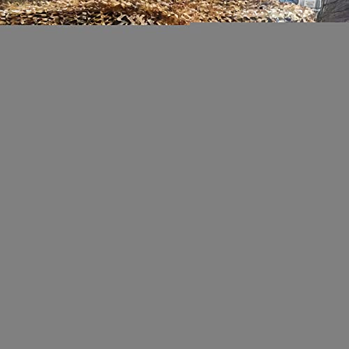 AMXFS Camouflage Net Tarnnetz Sonnensegel 3x8m - Wildnis Tarnung Sonnenschutznetze Partydekoration Tarnung Sonnenschutz Net Sichtschutz Autoplanen Woodland Armee von AMXFS