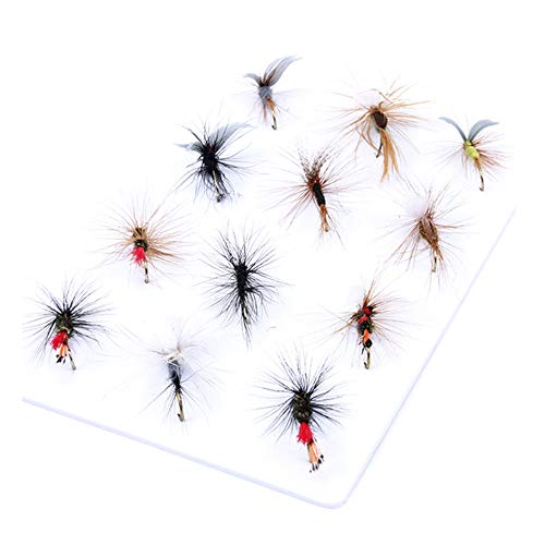 ANCLLO 12 Stück Top Bewertung Trocken/Nymphe/Streamer Fliegenfischen Fliegen Forellen Fliegensortiment ANCLLO 12 Stück Top Bewertung Trocken/Nymphe/Streamer Fliegenfischen Fliegen Forellen Fliegensortiment von ANCLLO