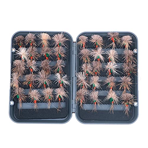 ANCLLO Fliegenfischen, Köder-Set, 40 Stück, zum Fliegenfischen, mit wasserdichter Fliegenbox für Forellenangeln, Stil B ANCLLO Fliegenfischen, Köder-Set, 40 Stück, zum Fliegenfischen, mit wasserdichter Fliegenbox für Forellenangeln, Stil B von ANCLLO