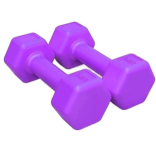 Hanteln Kurzhanteln Gewichte 2 Stücke Hause Hantel Fitness Yoga Weibliche Gewicht Training Arm Muskel Hantel Fitness Ausrüstung Hanteln Hanteln Set(Purple,2kg(1kg*2)) von ANIIC