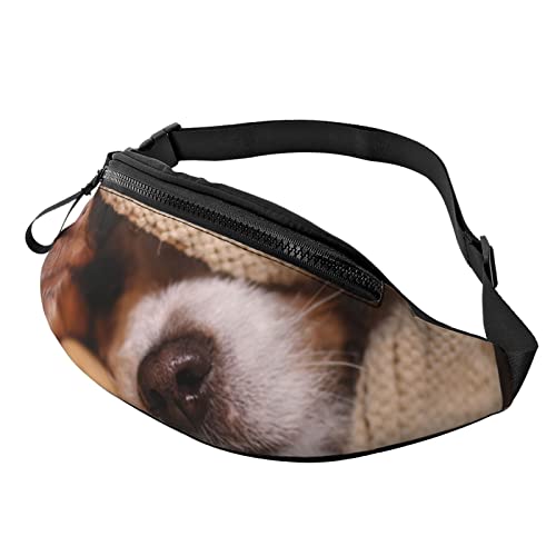 Gürteltasche für Damen Herren Hund Jack Russel Terrier Hüfttasche Geldbörse Outdoor Sport Gürteltasche von AOOEDM