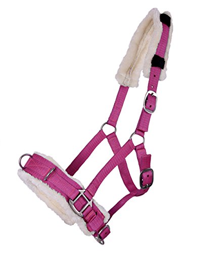 ARBO-INOX Kappzaum Halfter Nylonhalfter Longierhalfter QHP 4 Farben und 4 Grössen Größe Full Warmblut, Farbe Fuchsia ARBO-INOX Kappzaum Halfter Nylonhalfter Longierhalfter QHP 4 Farben und 4 Grössen Größe Full Warmblut, Farbe Fuchsia von ARBO-INOX