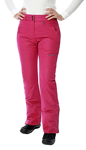 ARCTIX Damen Insulated Snow Pants Skihose, Farngrün, Large/31 Inseam ARCTIX Damen Insulated Snow Pants Skihose, Farngrün, Large/31 Inseam von ARCTIX