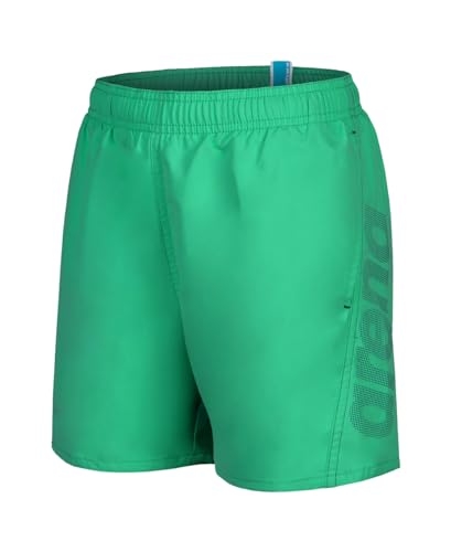 Arena Jungen Fundamentals Logo Jr Boxer Swim Trunks, Green Quartz-Purple Blue, 164 EU von ARENA