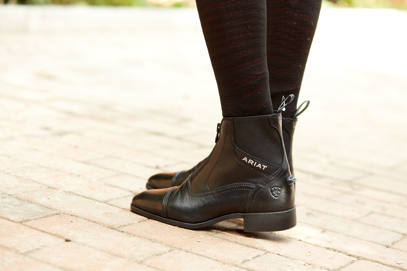 Ariat Palisade Stiefelette Damen Ariat Palisade Stiefelette Damen von ARIAT