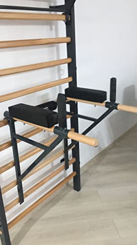 ARTIMEX Klimmzug Dip Ständer für Sprossenwand - Wird in Heimen, Fitnessstudios oder Fitnesscentern für Training und Fitness verwendet, Artikelnr. 270 (Grau (RAL 7016)) von ARTIMEX SPORT EQUIPMENT