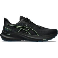 ASICS GT-2000 12 GTX Stabilitätsschuh Herren von ASICS