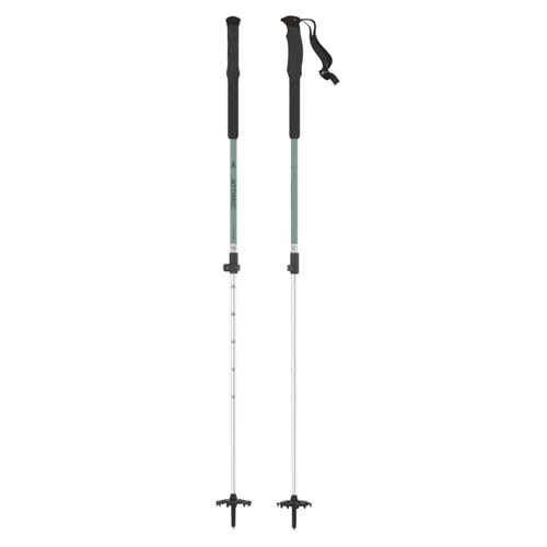 ATOMIC BCT TOURING Skitourenstöcke - Verstellbare Stöcke 110 - 135 cm - Aluminium Skistock - Skistöcke mit ergonomischem Griff - Tourenski Ausrüstung - Pistachio ATOMIC BCT TOURING Skitourenstöcke - Verstellbare Stöcke 110 - 135 cm - Aluminium Skistock - Skistöcke mit ergonomischem Griff - Tourenski Ausrüstung - Pistachio von ATOMIC