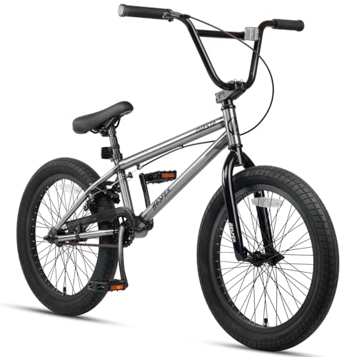 AVASTA Hesper 20 Zoll Kinderfahrrad Freestyle BMX Fahrräder für 6 7 8 9 10 11 12 13 14 Jahre alte Jungen und Anfänger, Grau AVASTA Hesper 20 Zoll Kinderfahrrad Freestyle BMX Fahrräder für 6 7 8 9 10 11 12 13 14 Jahre alte Jungen und Anfänger, Grau von AVASTA