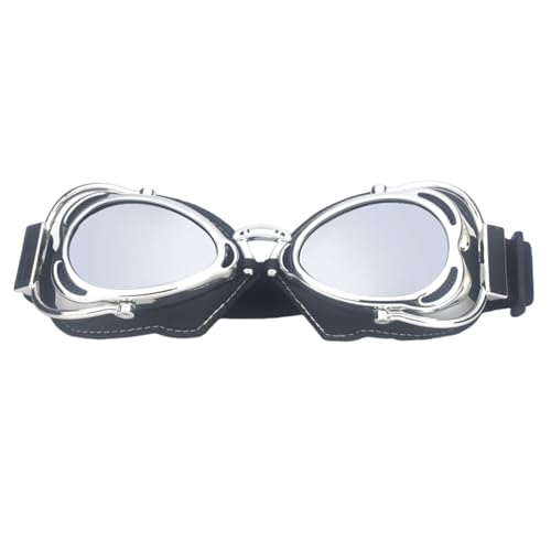 AYPOHU Schutzbrille Jugendliche Erwachsene Staubdichte Motorradbrille Kratzfeste Reitbrille von AYPOHU