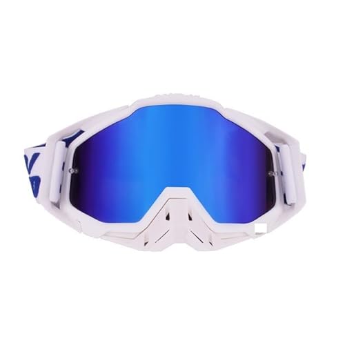 AYXAMO Motorradbrille，Motorradbrille Herren Schutzbrille, Motorradhelm-Schutzbrille, Offroad-Schutzbrille, Wind- und sandstaubdichte Schutzbrille(14) von AYXAMO