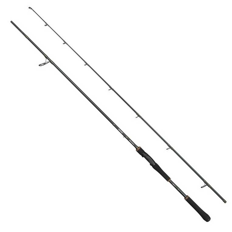 Abu Garcia Beast X2 Spinning Rod Silber 2.51 m / 30-110 g von Abu Garcia