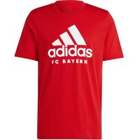 ADIDAS Herren Fanshirt FC Bayern München DNA Graphic ADIDAS Herren Fanshirt FC Bayern München DNA Graphic von Adidas