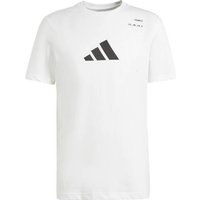 ADIDAS Herren Shirt AEROREADY Tennis Category Graphic ADIDAS Herren Shirt AEROREADY Tennis Category Graphic von Adidas