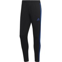 ADIDAS Herren Sporthose TIRO TR PNT ES von Adidas