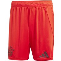 ADIDAS Herren Teamhose FC Bayern München 24/25 Heim ADIDAS Herren Teamhose FC Bayern München 24/25 Heim von Adidas