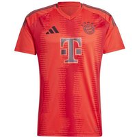 ADIDAS Herren Trikot FC Bayern München 24/25 Heimtrikot ADIDAS Herren Trikot FC Bayern München 24/25 Heimtrikot von Adidas