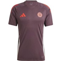 ADIDAS Herren Trikot FC Bayern München Tiro 24 von Adidas