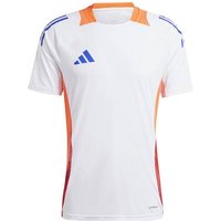 ADIDAS Herren Trikot Tiro 24 Competition (normal & lang) von Adidas