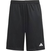 ADIDAS Kinder Shorts Train Essentials Logo Regular Fit Kids von Adidas