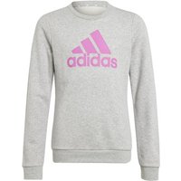 ADIDAS Kinder Sweatshirt Essentials Big Logo Cotton von Adidas