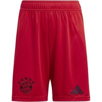 ADIDAS Kinder Teamhose FC Bayern München 24/25 Kids Heim von Adidas