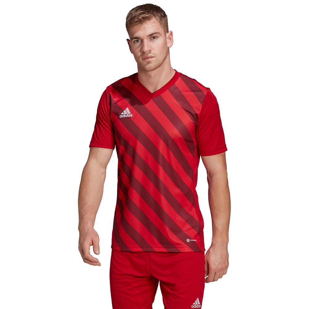 Adidas Entrada 22 Gfx Short Sleeve T-shirt Rot S / Regular Mann von Adidas