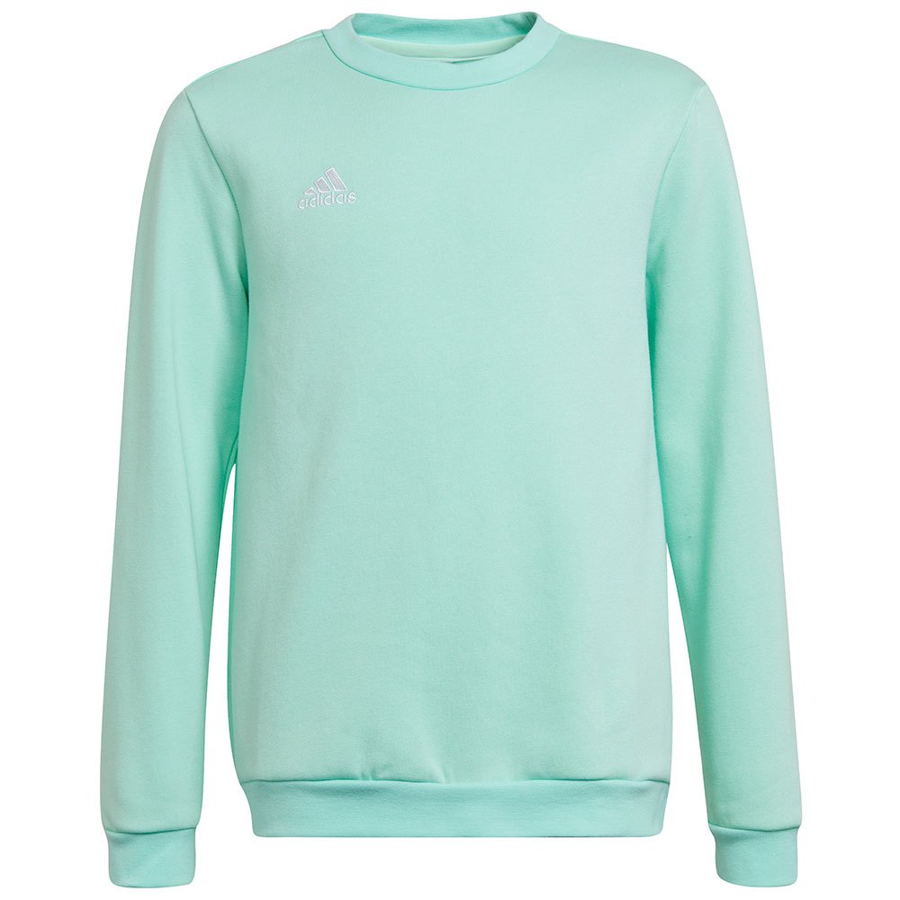 Adidas Entrada 22 Stadium Sw Sweatshirt Grün 13-14 Years Junge von Adidas