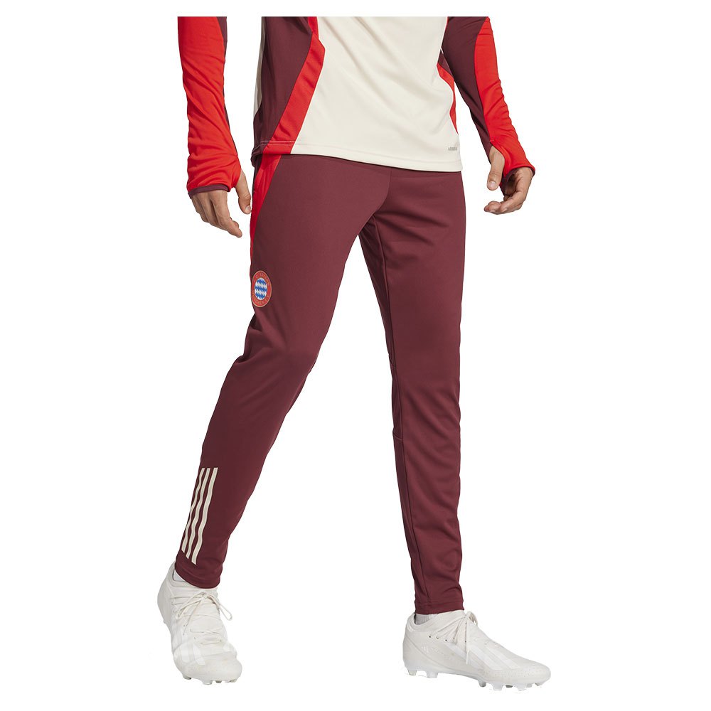 Adidas Fc Bayern Munich 24/25 Tracksuit Pants Rot L Adidas Fc Bayern Munich 24/25 Tracksuit Pants Rot L von Adidas