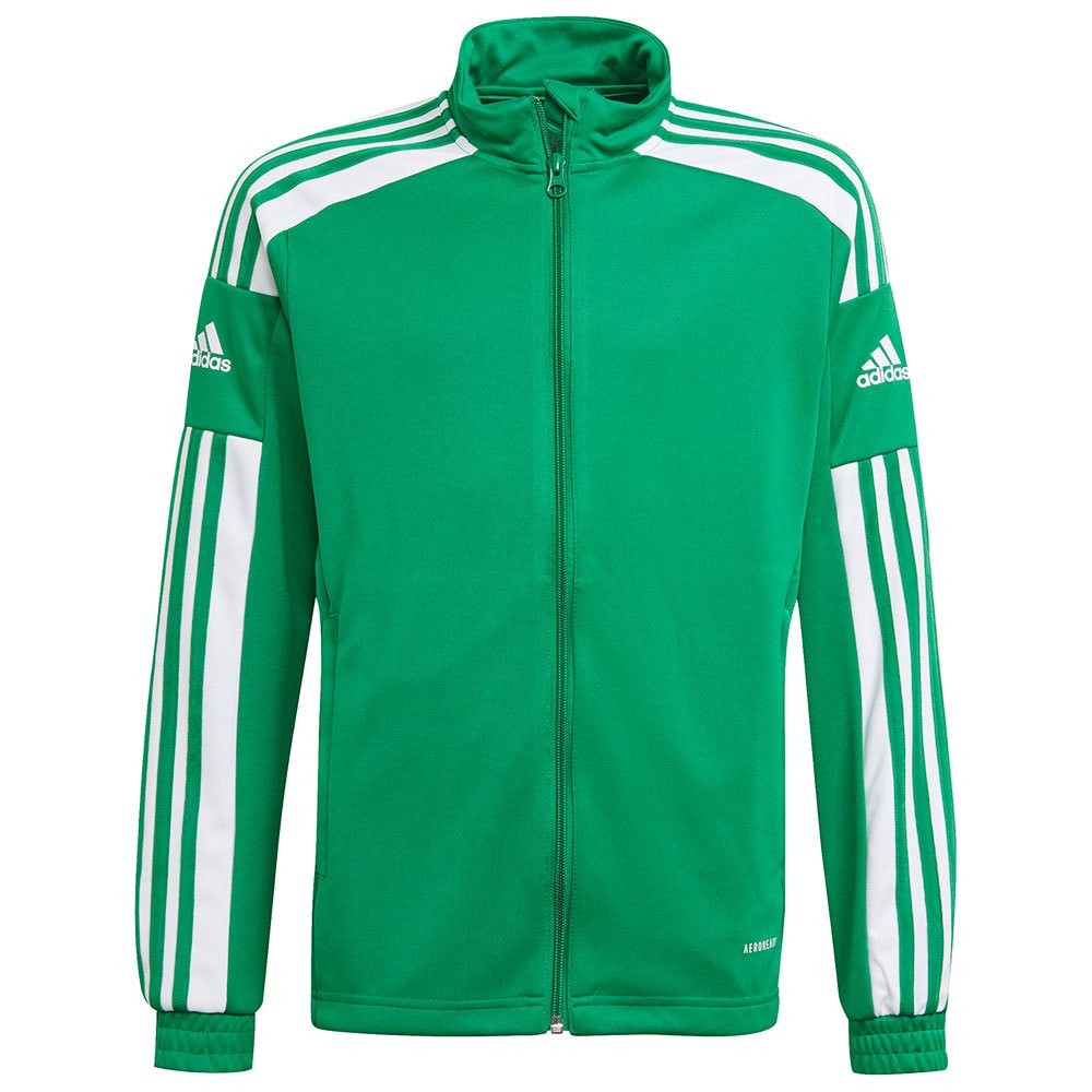 Adidas Squadra 21 Tracksuit Grün 15-16 Years Junge Adidas Squadra 21 Tracksuit Grün 15-16 Years Junge von Adidas