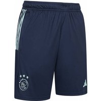 Ajax Amsterdam Adidas Herren Training Shorts HZ7771 Ajax Amsterdam Adidas Herren Training Shorts HZ7771 von Adidas