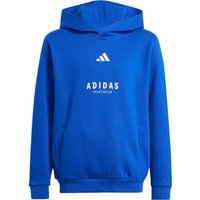 adidas ALLSZN GFX Hoodie Jungen adidas ALLSZN GFX Hoodie Jungen von Adidas
