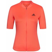 adidas Damen Radsport Trikot HG6352 von Adidas