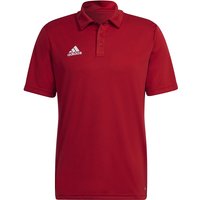 adidas Entrada 22 Poloshirt Herren tepore XL von adidas performance