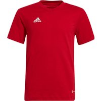 adidas Entrada 22 T-Shirt Kinder tepore 152 von adidas performance