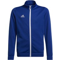 adidas Entrada 22 Trainingsjacke Kinder royblu 116 von adidas performance