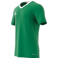 adidas Entrada 22 Trikot Herren teagrn/white L von adidas performance