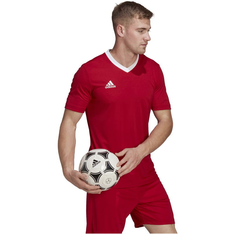 adidas Entrada 22 Trikot Herren tepore L von adidas performance