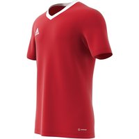 adidas Entrada 22 Trikot Herren tepore XXL von adidas performance