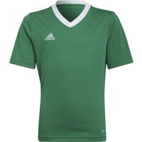 adidas Entrada 22 Trikot Kinder teagrn/white 116 von adidas performance