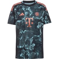 adidas FC Bayern München 24-25 Auswärts Teamtrikot Damen von Adidas