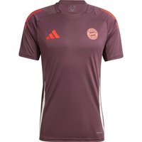 adidas FC Bayern München Funktionsshirt Herren adidas FC Bayern München Funktionsshirt Herren von Adidas