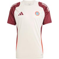 adidas FC Bayern München Funktionsshirt Herren adidas FC Bayern München Funktionsshirt Herren von Adidas