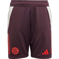 adidas FC Bayern München Fußballshorts Kinder von Adidas