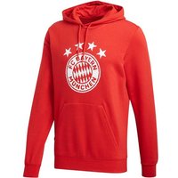 ADIDAS Replicas - Sweatshirts - National FC Bayern München DNA Graphic Hoody von Adidas